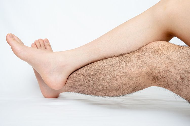 Đặc điểm nang lông rậm và cứng