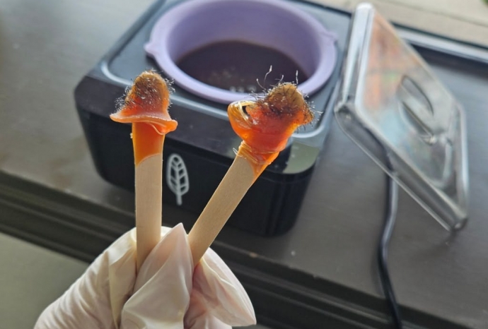 Hướng Dẫn Wax Lông Mũi An Toàn Tại Nhà