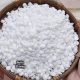 Sáp Wax Dừa Trắng Premier 3